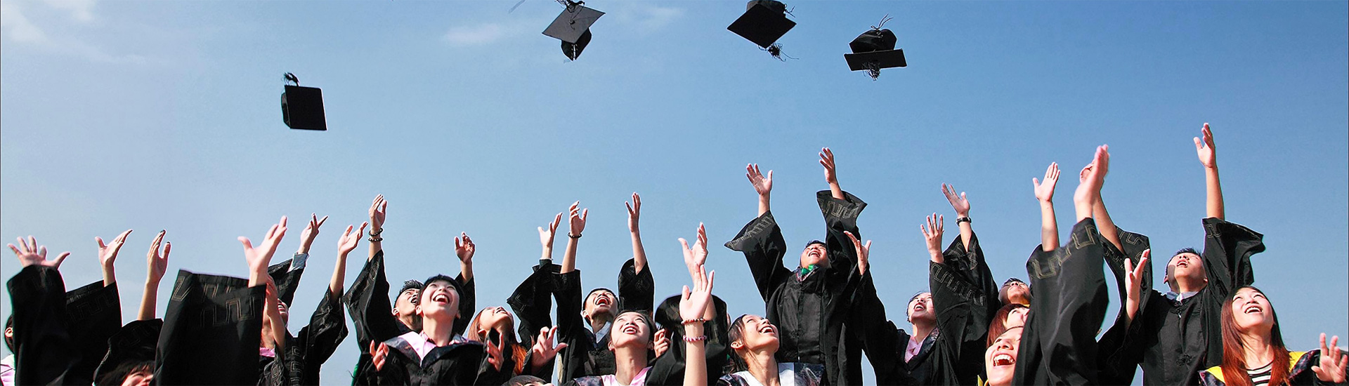 人才w66来利国际