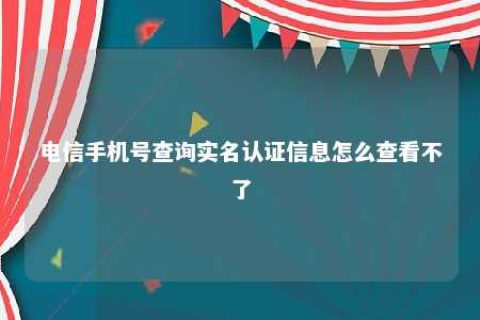 电信手机号盘问实名认证信息怎么审查不了